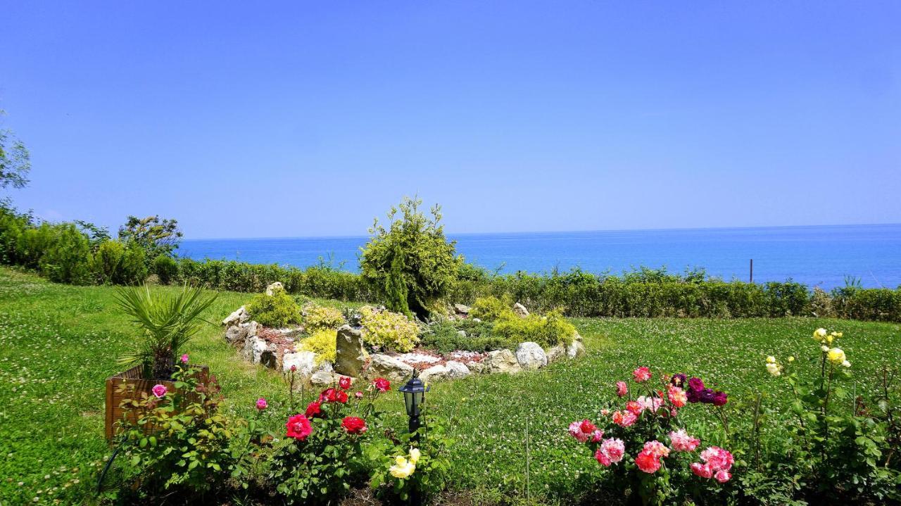 клиф форест - Byala Cliff Forest Apartment